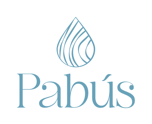 Logo Vertical Pabús Bijoux Joyeria Artesanal Pabús Bijoux, logo de la marca. Una pendiente en forma de lágrima sobre el nombre de Pabús.