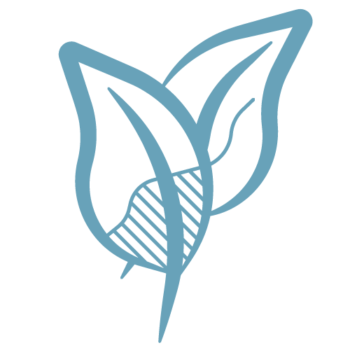 Icono de hojas que representa el compromiso de Pabús Bijoux con la joyería artesanal respetuosa con el medio ambiente.